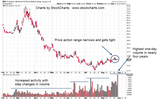 2020-08-30_9-32-52-IBB-Daily-5-bar-lanscape-notes
